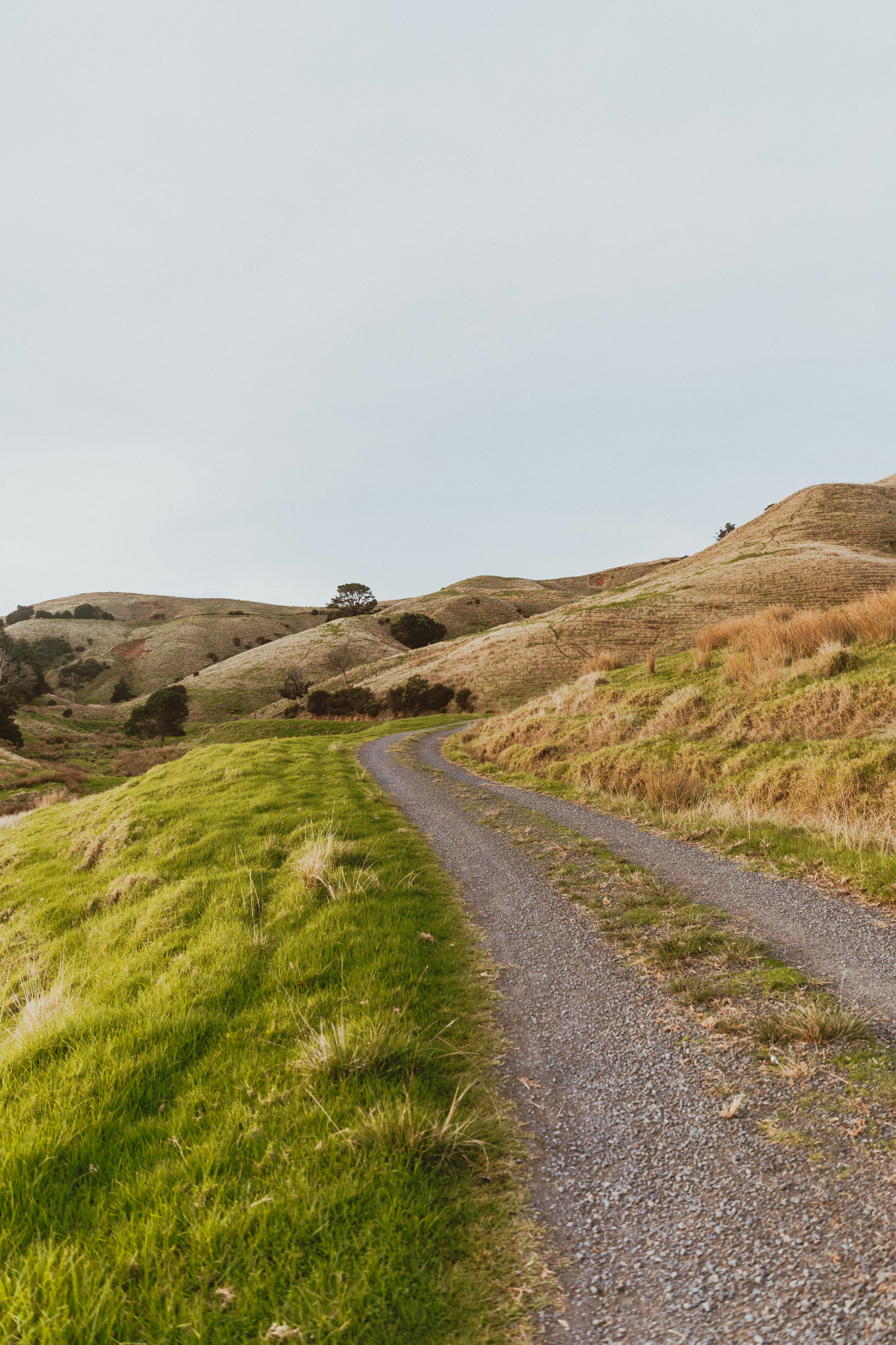 Lifestyle Blocks & Elite Rural